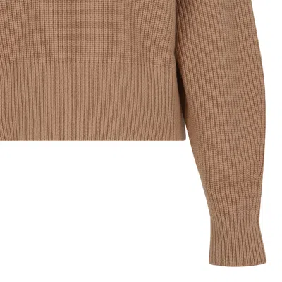 Max Mara Camel Wool Cashmere Sweater In Brown