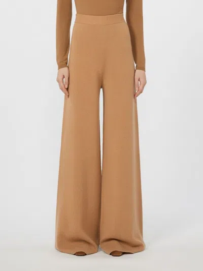 Max Mara Wool And Cashmere Trousers In Brown