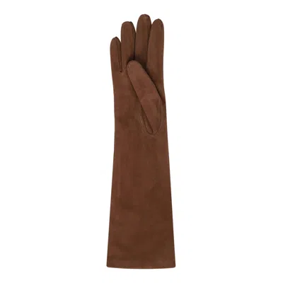 Max Mara Leather Brown Calf Gloves In Brown