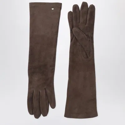 Max Mara Long Brown Suede Nappa Gloves In Brown
