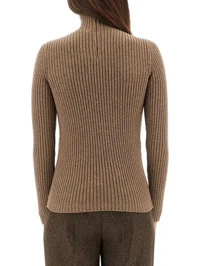 Max Mara Ribbed Turtleneck Sweater In Brown