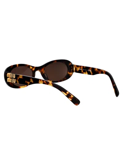 Miu Miu Havana Acetate Sunglasses In Brown