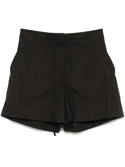 P.a.r.o.s.h Parosh Canyox Black Cotton Shorts In Brown