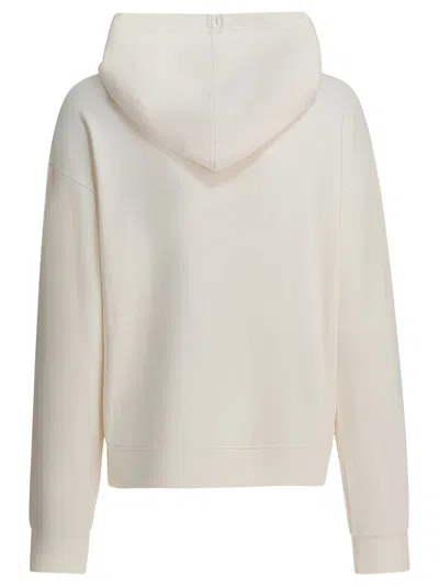 Patagonia Ahnya Zip-up Hooded Sweatshirt In Neutral