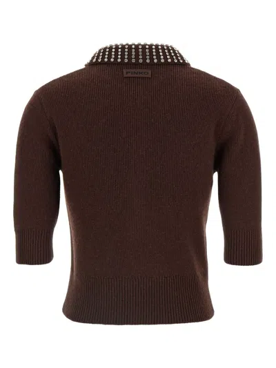 Pinko Emilia Blend Sweater With Rhinestones In Brown