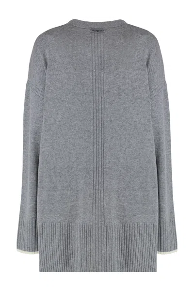 Pinko Tasmania Wool And Cashmere Cardigan