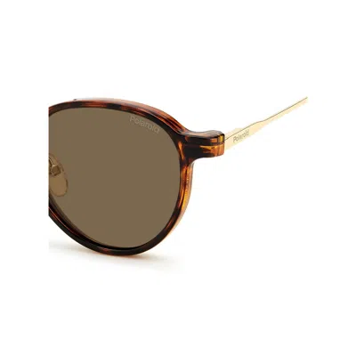 Polaroid (opt + Clip-on) Pld 6158/cs J5g(sp) In Brown