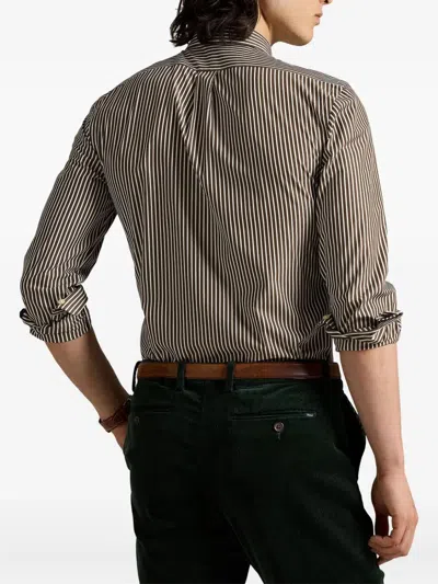 Polo Ralph Lauren Brown And White Striped Cotton Shirt  In Multi