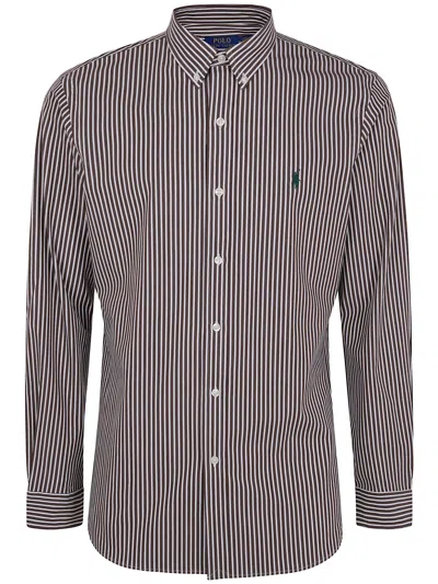 Polo Ralph Lauren Brown And White Striped Cotton Shirt  In Multi