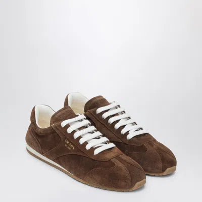 Prada Cocoa-coloured Sneakers In Suede Leather In Brown