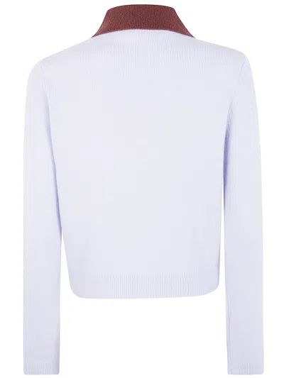 Self-portrait Sweater With Classic Contrast Collar In Blue