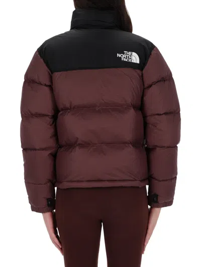 The North Face Retro Nuptse 1996 Jacket In Burgundy