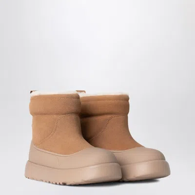 Ugg Classic Mini Mod Boots Chestnut In Neutral