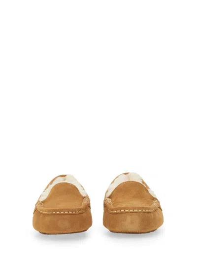 Ugg Slipper Ansley In Brown