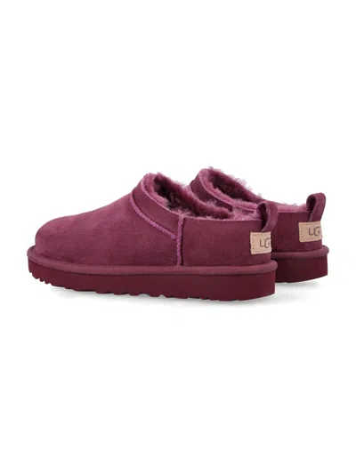 Ugg Classic Micro Suede Sheepskin Boots In Purple