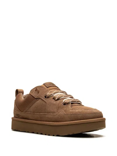 Ugg Suede And Mesh Sneakers With Trekking Laces In Brown