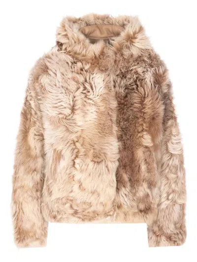 Yves Salomon Hoodie Jacket In Brown