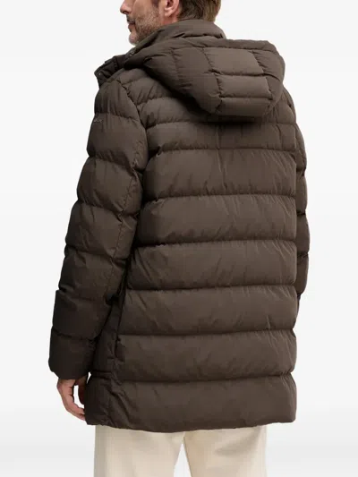Geox Hooded-neck Padded Jacket In Brown