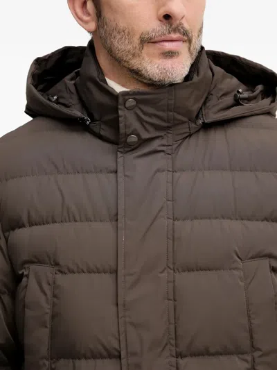 Geox Hooded-neck Padded Jacket In Brown