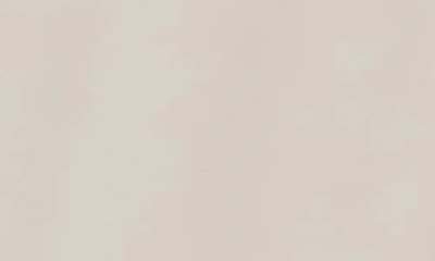 Truth Snap Bomber Jacket In Neutral