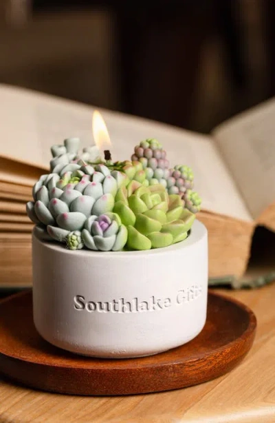Southlake Gifts Assorted Succulent Candle With Concrete Vessel In White