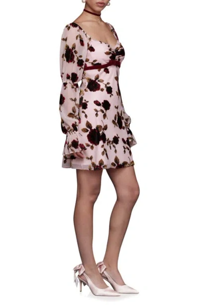 Avec Les Filles Floral Print Long Sleeve Minidress In Pink