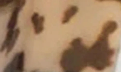 Teleties Medium Rectangle Hair Claw Clip In Brown