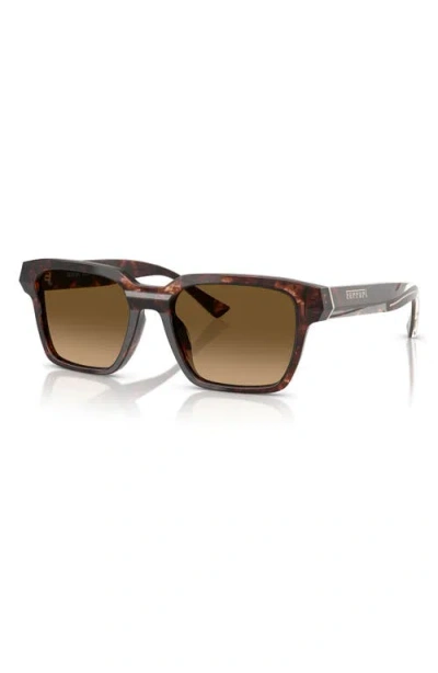 Scuderia Ferrari 55mm Polarized Square Sunglasses In Brown