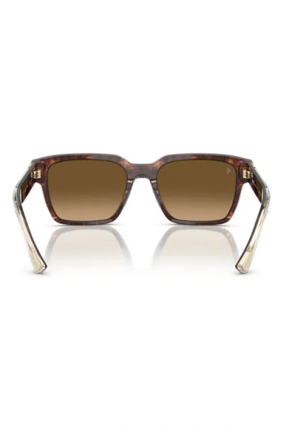 Scuderia Ferrari 55mm Polarized Square Sunglasses In Brown