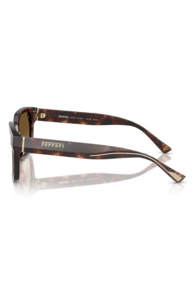 Scuderia Ferrari 55mm Polarized Square Sunglasses In Brown