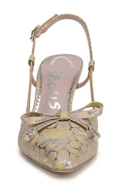 Circus Ny By Sam Edelman Monica Pointed Toe Slingback Pump In Brown