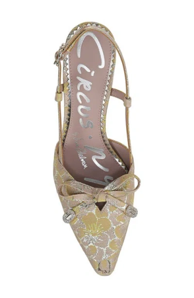 Circus Ny By Sam Edelman Monica Pointed Toe Slingback Pump In Brown