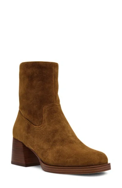 Steve Madden Latches Bootie In Brown
