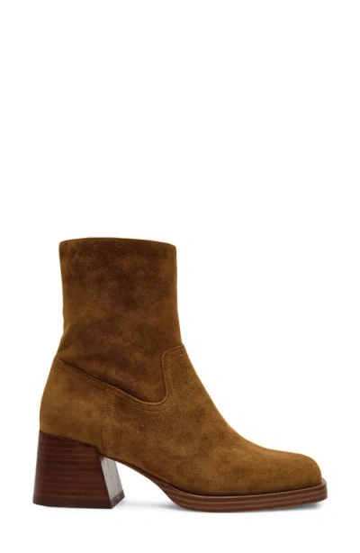 Steve Madden Latches Bootie In Brown