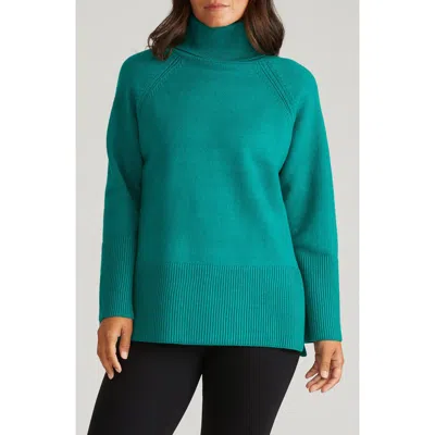 Universal Standard Yolanda Turtleneck Sweater In Blue