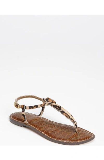 Shop Sam Edelman 'gigi' Sandal In New Nude Leopard