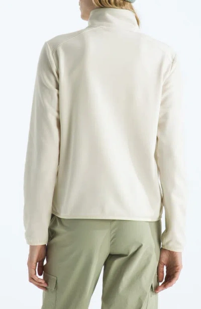 The North Face Performance Fleece Half-zip Pullover In White