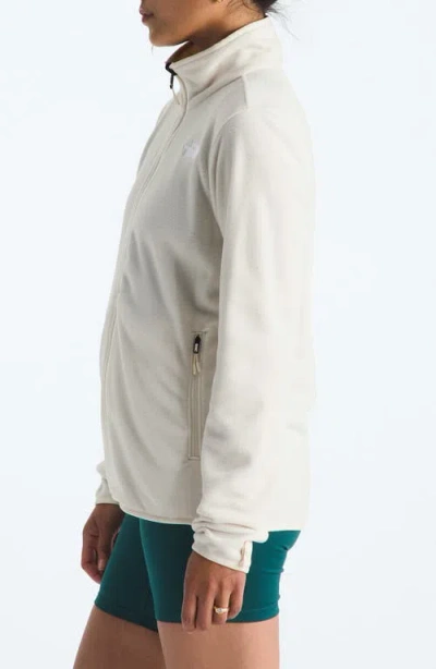 The North Face Glacier Fleece Jacket In White