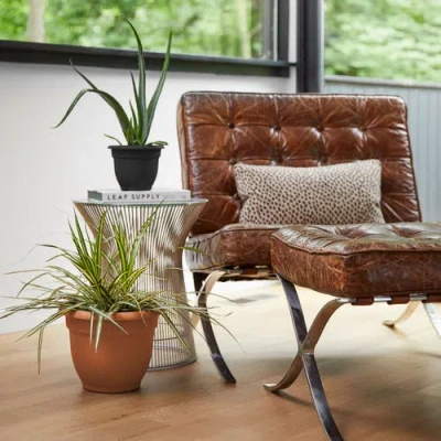 Bloem 20" Ariana Pot Planter, Terra Cotta In Brown