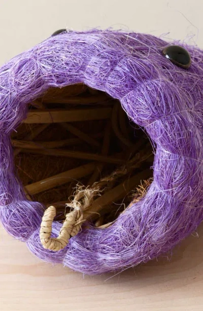 Likha Coco Coir Hanging Planter For Air Plants In Purple