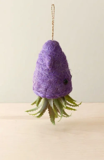 Likha Coco Coir Hanging Planter For Air Plants In Purple