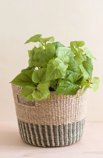 Likha Tapered Basket With Cutout Handles In Brown