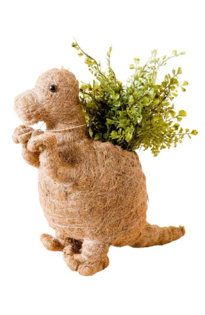 Likha Dinosaur Coco Coir Planters In Brown