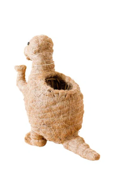 Likha Dinosaur Coco Coir Planters In Brown