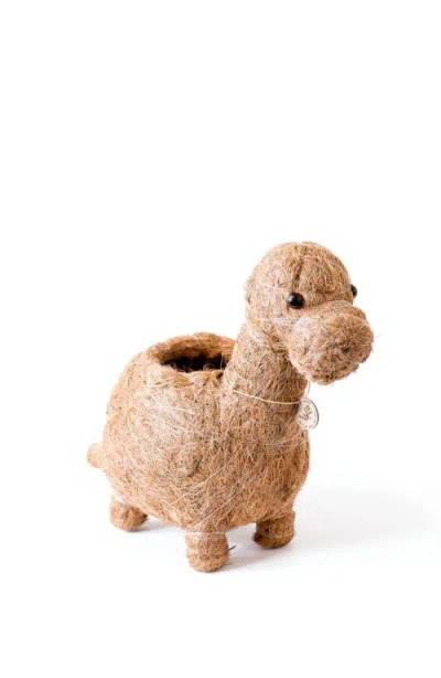 Likha Dinosaur Coco Coir Planters In Brown