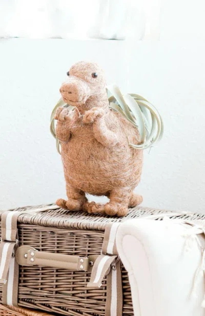 Likha Dinosaur Coco Coir Planters In Brown