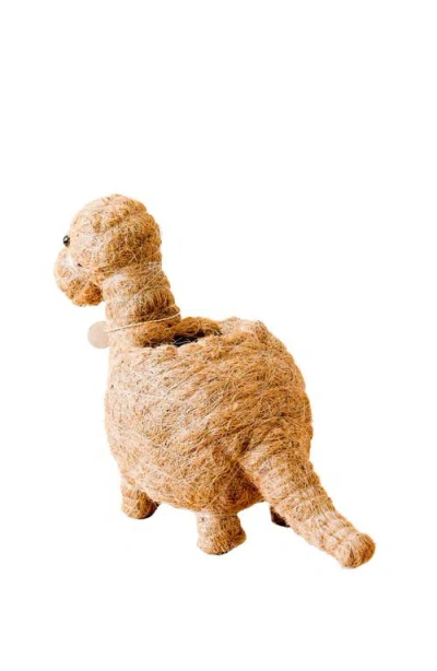 Likha Dinosaur Coco Coir Planters In Brown