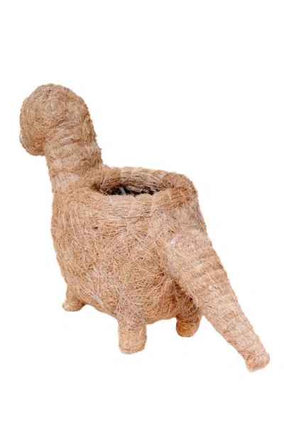 Likha Dinosaur Coco Coir Planters In Brown