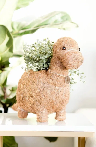 Likha Dinosaur Coco Coir Planters In Brown