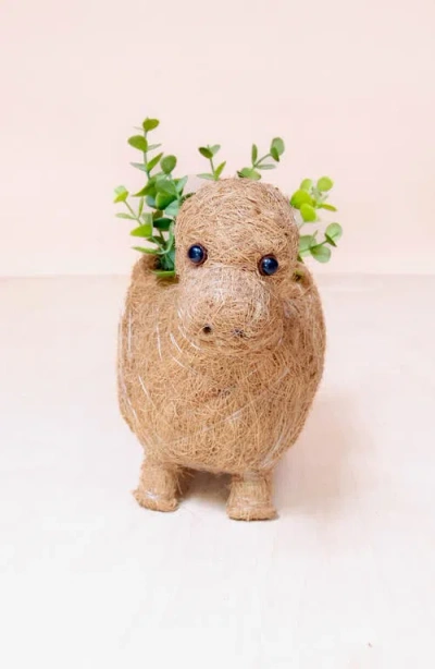Likha Dinosaur Coco Coir Planters In Brown